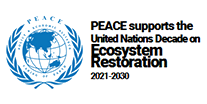 United Nations Department of Economic and Social Affairs Logo